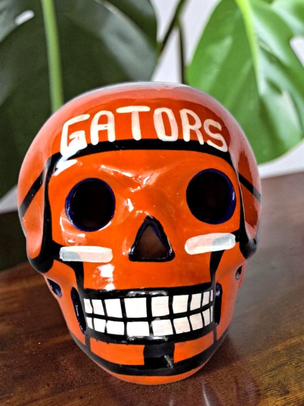 GATORS Hand-Painted Skull Pottery For Florida Fan